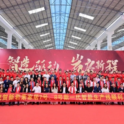 “智造驱动·岩启新程”——新岩素生产基地“7#线宽体岩板窑炉”成功点火